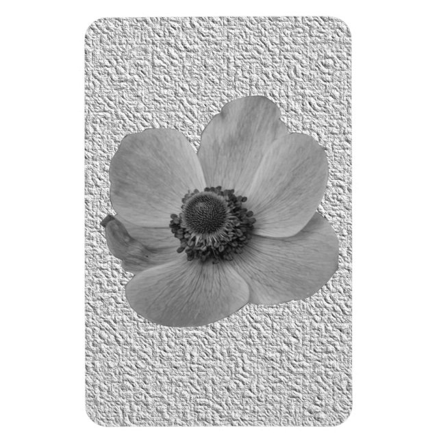 Íman Imagem Premium de Anemone Vintage (Vertical)