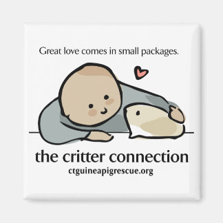 Íman Imagem quadrada com logotipo colorido e site