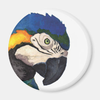 Íman Imagem Retrato de Maca Azul