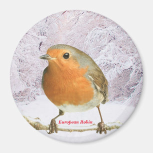 Íman Imagem Robin para o Magnet Redondo Grande