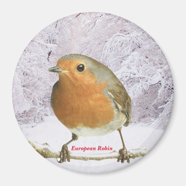 Íman Imagem Robin para o Magnet Redondo Grande (Frente)