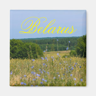 Íman Imagem Rural do Campo Natural da Bielorrússia