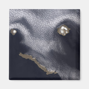 Íman Imagem satélite da ilha de Semisopochnoi