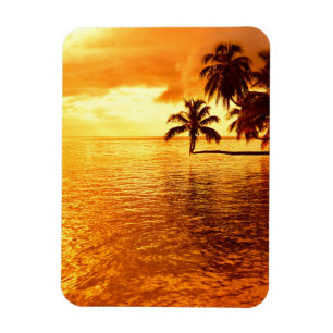 Íman Imagem vertical fixa horizontal da palmeira