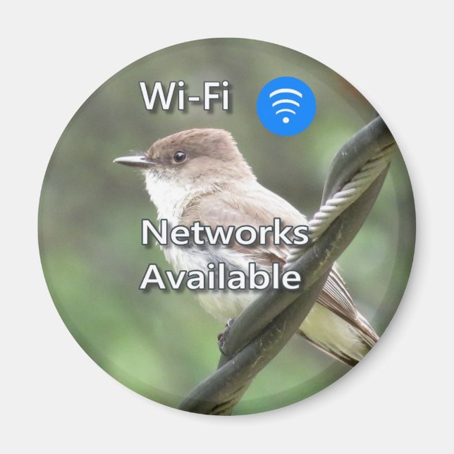 Íman Imagem Wi-Fi Phoebe Oriental (Frente)