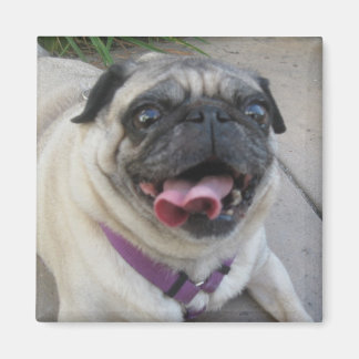 Íman Imagens de Fotografias Personalizadas