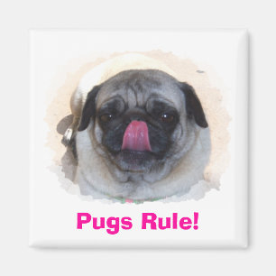 Íman Imagens de Fotos Personalizadas Personalizadas