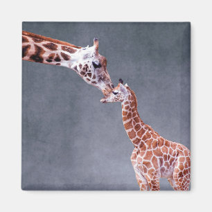 Íman Imagens Getty Madre e bebê girafa