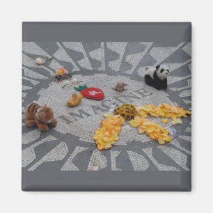 Íman Imagine a foto do Central Park NYC de Strawberry