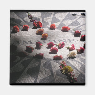 Íman Imagine o Parque Central do Mosaico