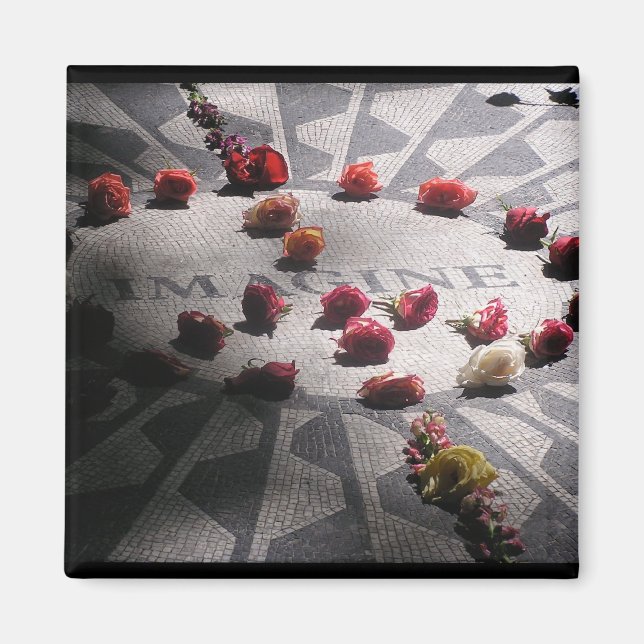 Íman Imagine o Parque Central do Mosaico (Frente)