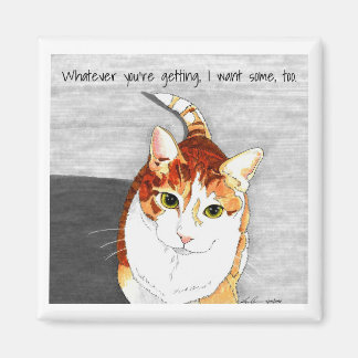 Íman íman: Ameaças para o Hobbes