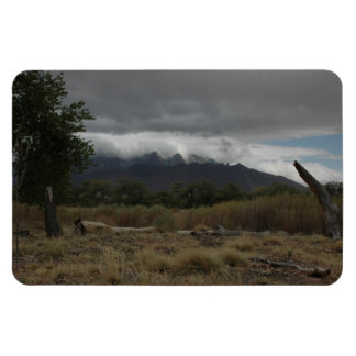 Íman Íman de Artes H.A.S., imagem Bosque