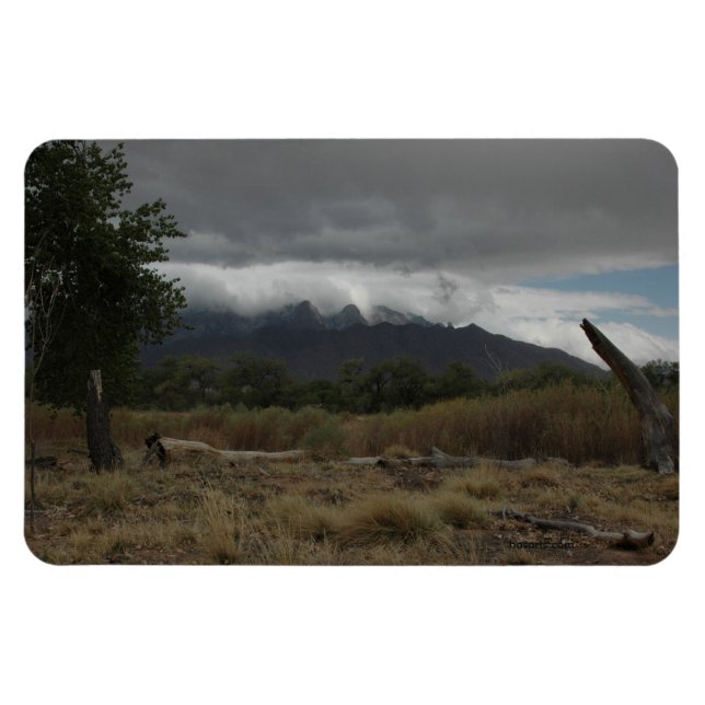 Íman Íman de Artes H.A.S., imagem Bosque (Horizontal)