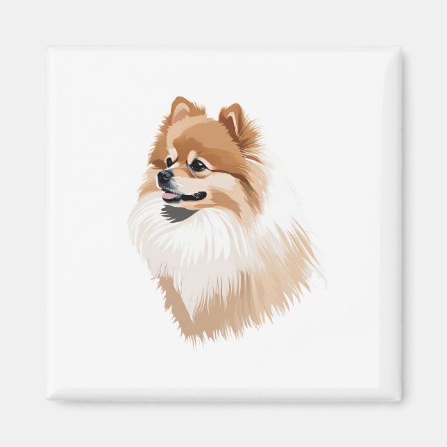 Íman Imán ilustración perro pomerania (Frente)