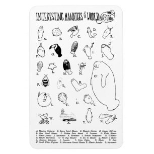 Íman Íman interessante de Manatees