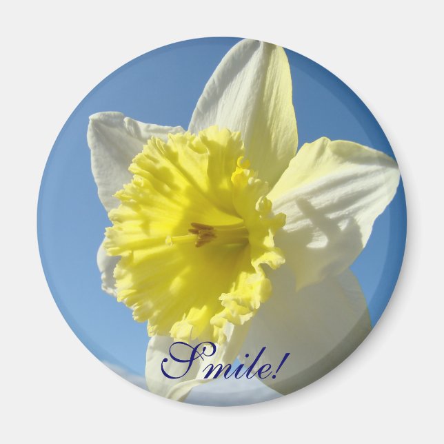 Íman ÍMANE SMILE! Presentes Narciso Amarelo ímã de flor (Frente)
