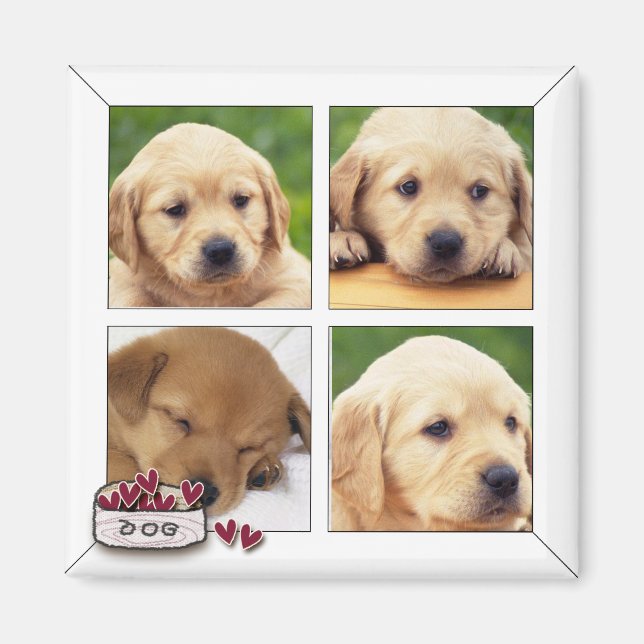 Íman ímanes de fotos do cão instagram (Frente)