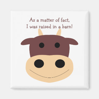 Íman Ímanes de vaca castanho