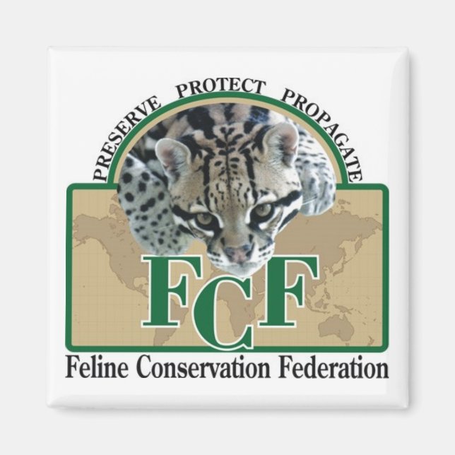 Íman Ímãs (Frente)