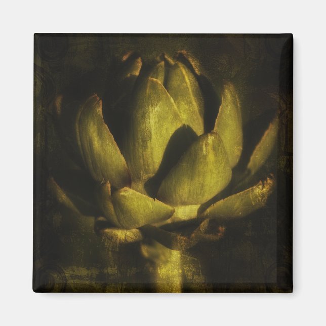 Íman Ímãs (Frente)