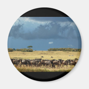 Íman Ímãs azuis de Mara Kenya do Masai do Wildebeest