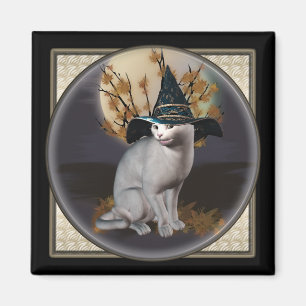 Íman Ímãs brancos do quadrado do gato das bruxas