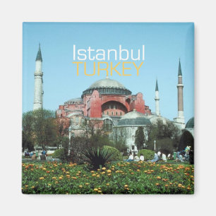 Íman Ímãs da lembrança da foto do viagem de Istambul