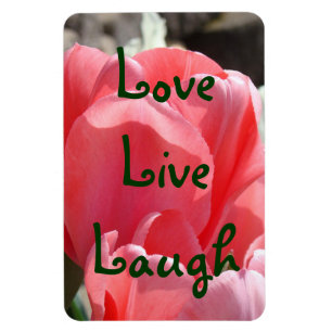 Íman Ímãs de Amor Vida Sorriso Tulipas Rosa Florais da 