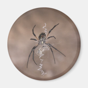 Íman Ímãs de Aranha