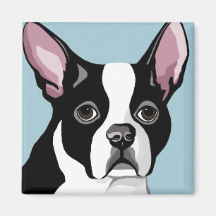 Íman Ímãs de Boston Terrier