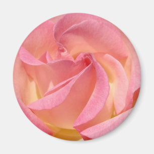 Íman Ímãs de Flor de Rosa Rosa presentes Personalizados