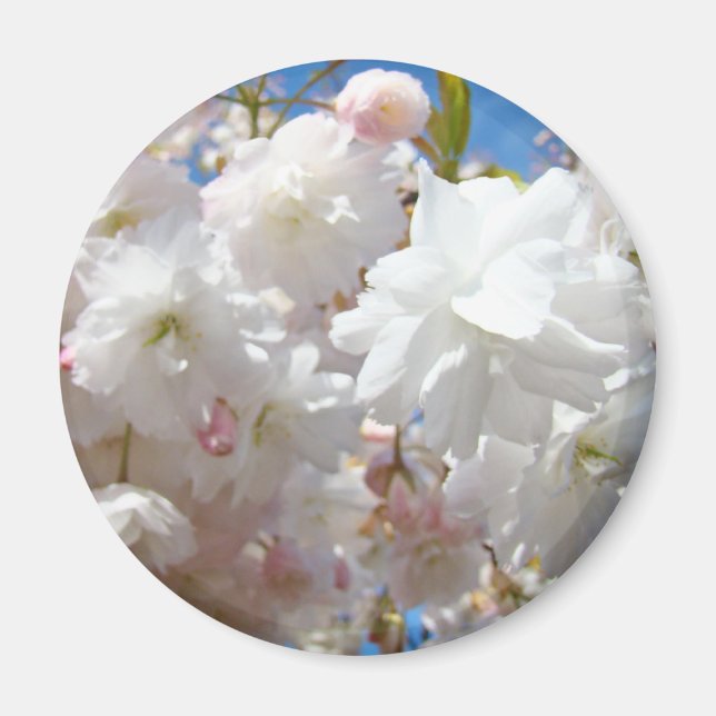 Íman Ímãs de flores da primavera personalizados (Frente)
