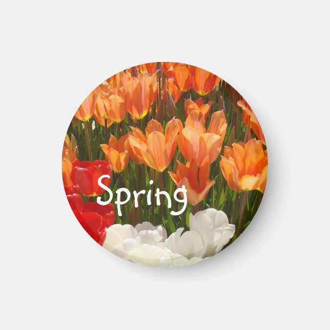 Íman Ímãs de Flores de Tulipa da Primavera Tulipas Lara (Frente)