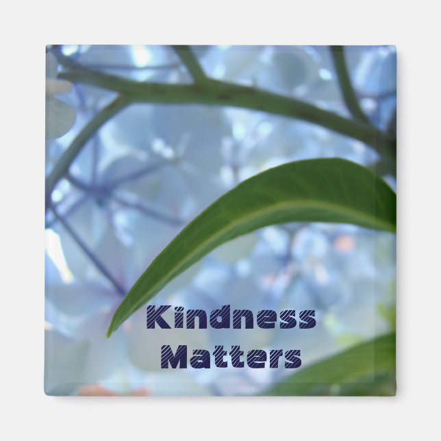 Íman Ímãs de Flores Hortênsias Azuis Kindness Matters (Frente)