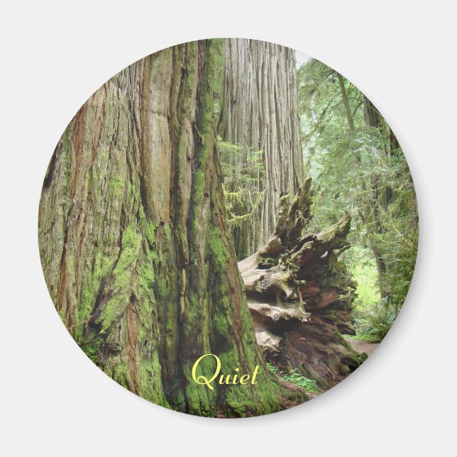 Íman Ímãs de floresta de grande árvore de sequóia verme (Frente)