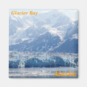 Íman imãs de geladeira de compartimento de geleiras