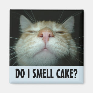 ÍMAN IMÃS DE GELADEIRA DE GATO DE ANIVERSÁRIO ENGRAÇADA