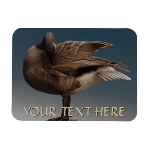 Íman Imãs de geladeira de Souvenir no Canadá do Magne