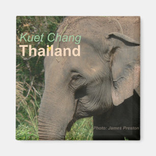 Íman Imãs de geladeira do elefante de Kuet Chang