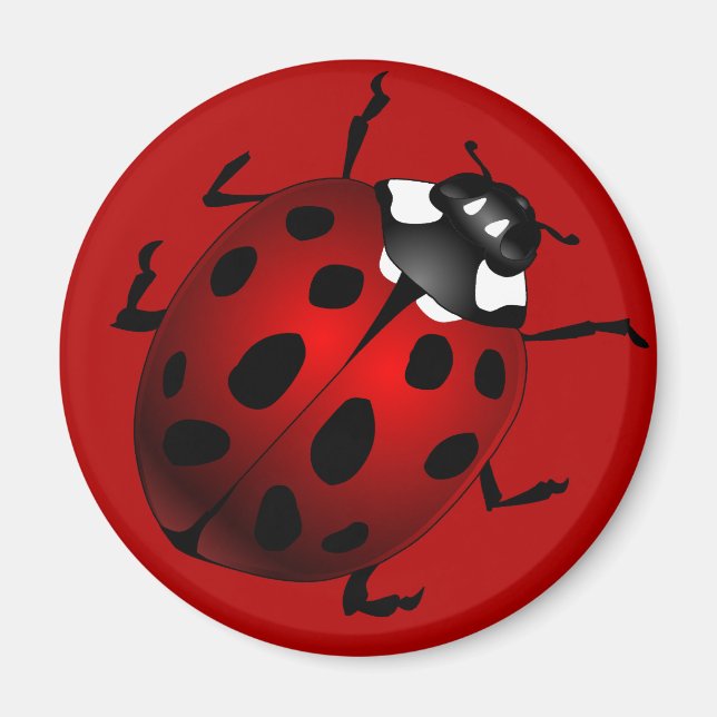 Íman Imãs de geladeira Ladybug Art Magnet Ladybird Lady (Frente)