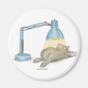 Íman Ímãs de HappyHoppers®