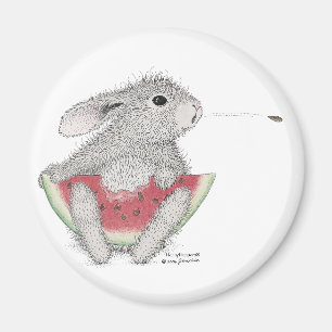 Íman Ímãs de HappyHoppers®