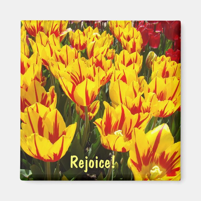 Íman Ímãs de Páscoa Tulipas flores ímã Alegrai-vos (Frente)