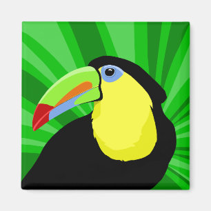 Íman Ímãs de Toucan