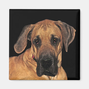 Íman Ímãs do cão de great dane