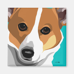 Íman Ímãs do Corgi de Galês