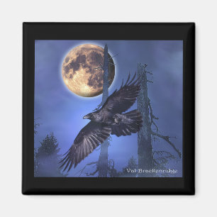 Íman Ímãs do corvo