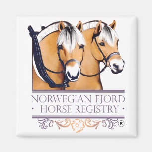 Íman Ímãs do logotipo de NFHR