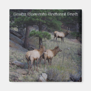 Íman Ímãs do parque nacional de montanha rochosa